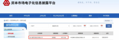 一加顶配双11开启，一加 Ace Pro 到手